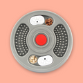 Lick & Learn Interactive Treat Plate