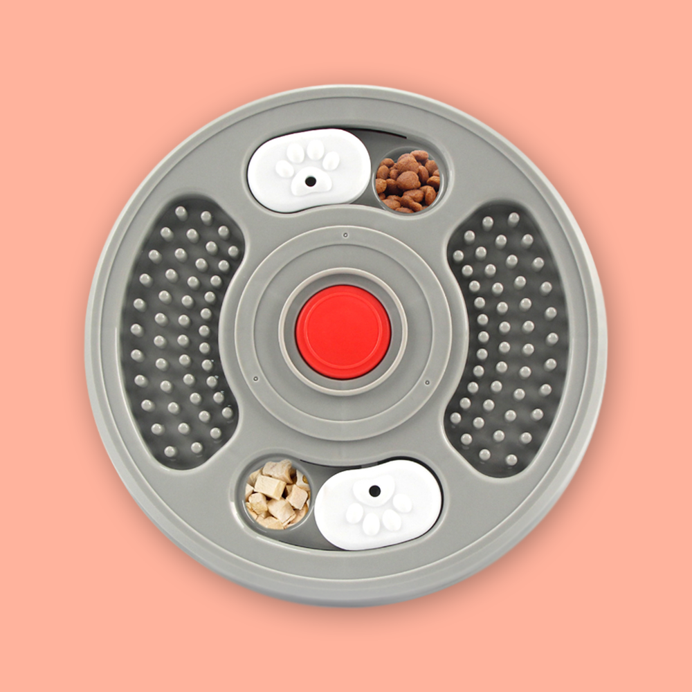 Lick & Learn Interactive Treat Plate