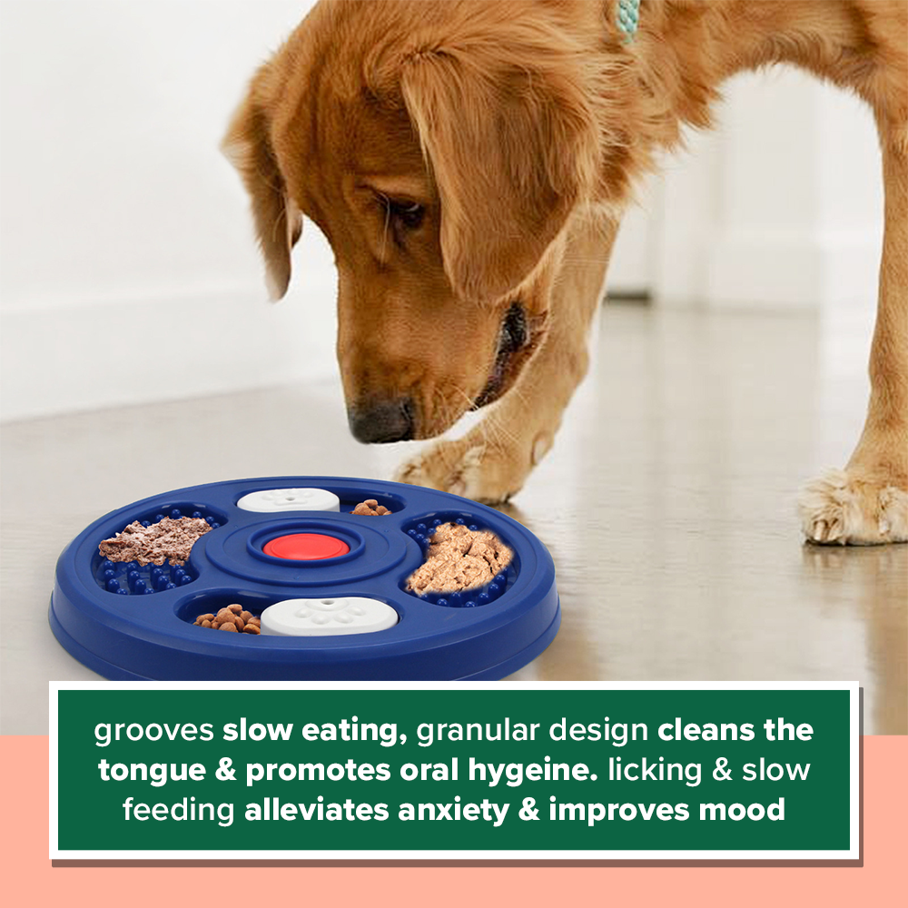 Lick & Learn Interactive Treat Plate