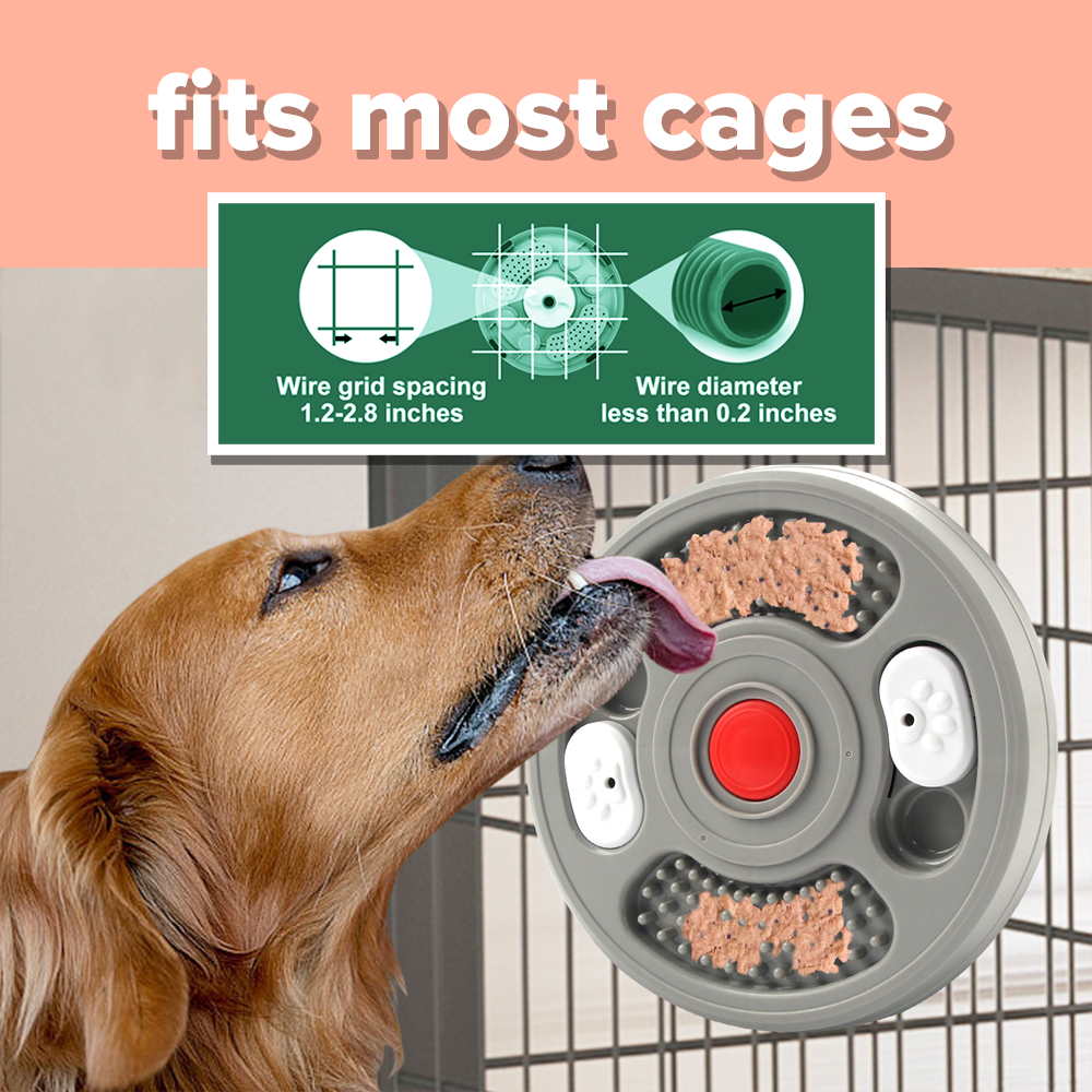 Lick & Learn Interactive Treat Plate
