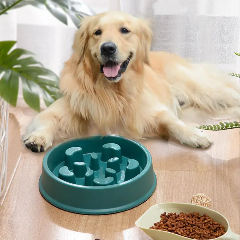 Petal Slow-Feed Anti-Slip Bowl